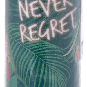 Alamy Lip Vibes Lipstick - 210 Never Regret