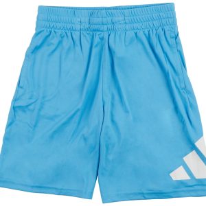 Adidas Big Boys Logo Shorts
