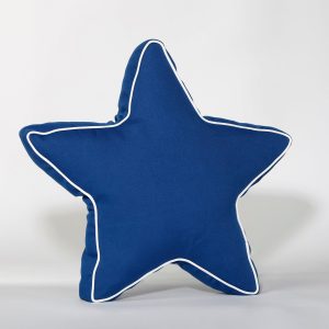 Videri Home 20 in Navy Star Outdoor Pillow