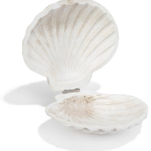 Fancy That Resin Scallop Shell Trinket Box Accent