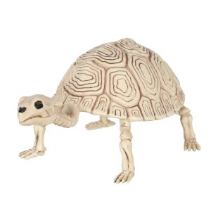Brighten the Season Halloween 14in. Turtle Skeleton
