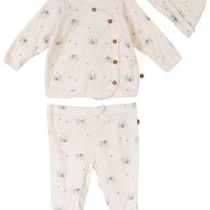 DreamGro Baby Boys 3 Pc Long Sleeve Cardigan Pant Hat Set