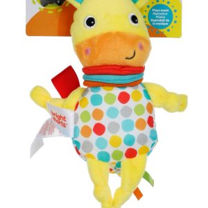 Bright Starts Pull Play & Boogie Musical Activity Toy