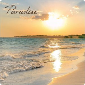 P. Graham Dunn Paradise Sunset Coaster